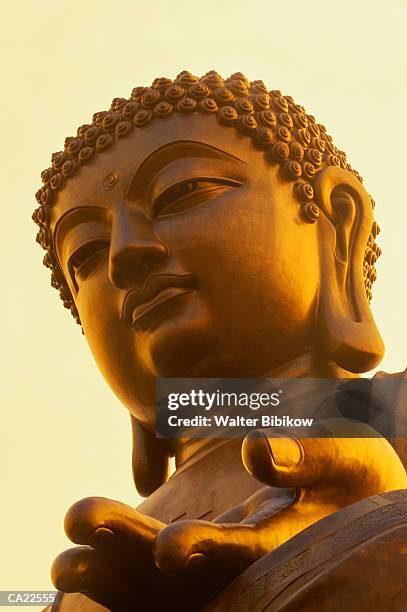 hong kong, lantau island, po lin monastery, gold buddha statue - mosteiro de po lin imagens e fotografias de stock