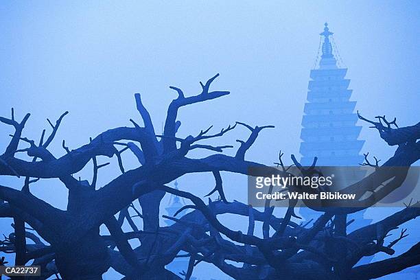china, beijing, bare tree, pagoda in background shrouded in mist - many cities in china shrouded in fog photos et images de collection