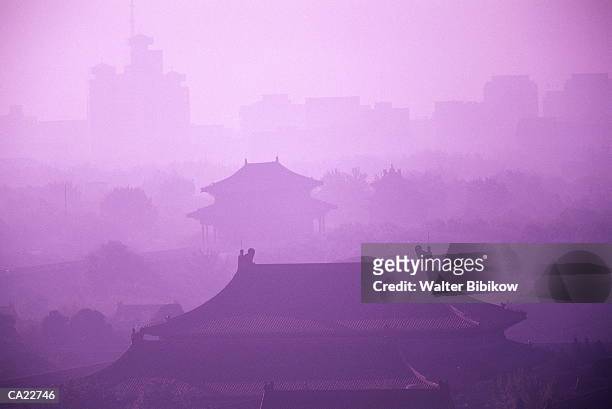 china, beijing, forbidden city shrouded in mist, elevated view - forbidden city imagens e fotografias de stock