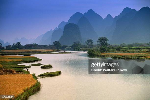china, guangxi province, baisha, rice cultivation along yulong river - son la province fotografías e imágenes de stock