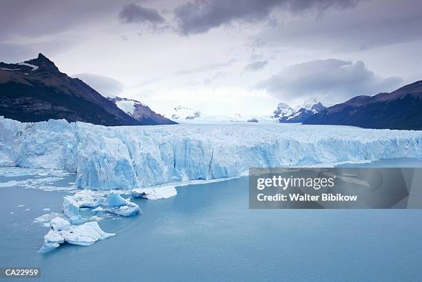 argentina, los glaciares national park, perito moreno glacier - lago argentina fotografías e imágenes de stock