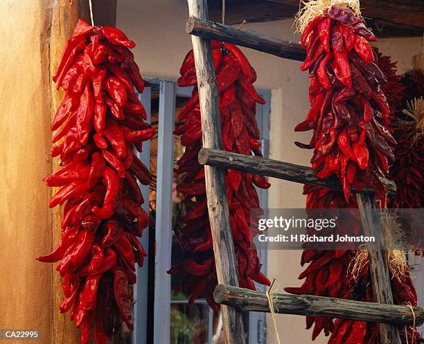 Chilli Ladder 83 Pueblo Ladder Stock Photos, High-Res Pictures, and Images - Getty Images