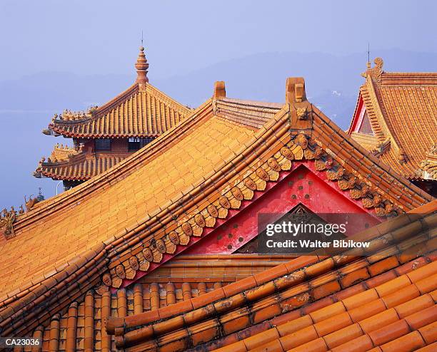 taiwan, nantou county, wen wu temple, exterior, roof detail - wu stock pictures, royalty-free photos & images