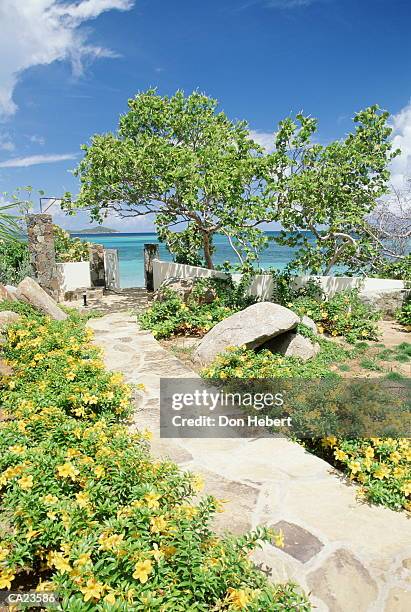 british virgin islands, virgin gorda, mahoe bay, path in garden - bay islands stock pictures, royalty-free photos & images