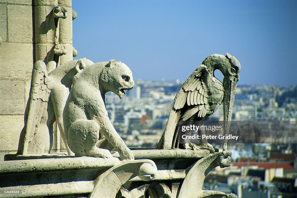 Gargoyle and bird statue, side view (selective focus)
