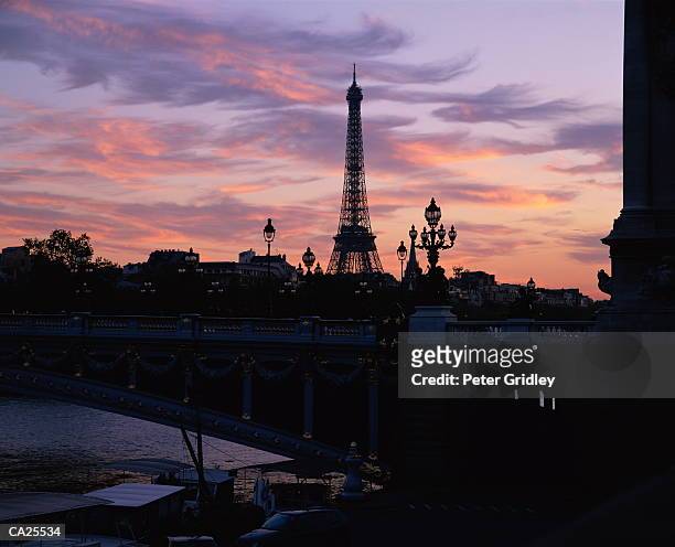 france, paris, eiffel tower and pont alexandre iii at dusk, silhouette - alexandre fotografías e imágenes de stock