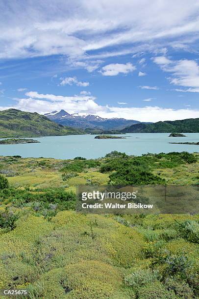 chile, torres del paine national park, lake nordenskjold - walter bibikow stock pictures, royalty-free photos & images