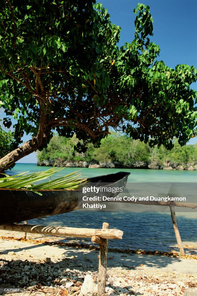 Dugout resting on trestle on tropical beach