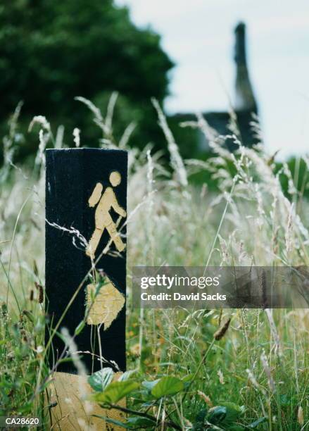 footpath sign in long grass - footpath sign stock pictures, royalty-free photos & images