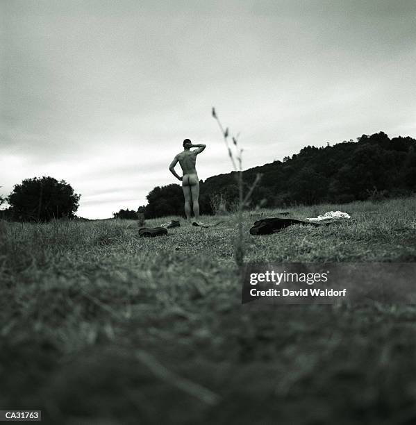 naked businessman standing in field, rear view - waldorf stock pictures, royalty-free photos & images