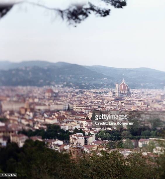 italy, tuscany, florence city skyline from hill - lisa kirk fotografías e imágenes de stock