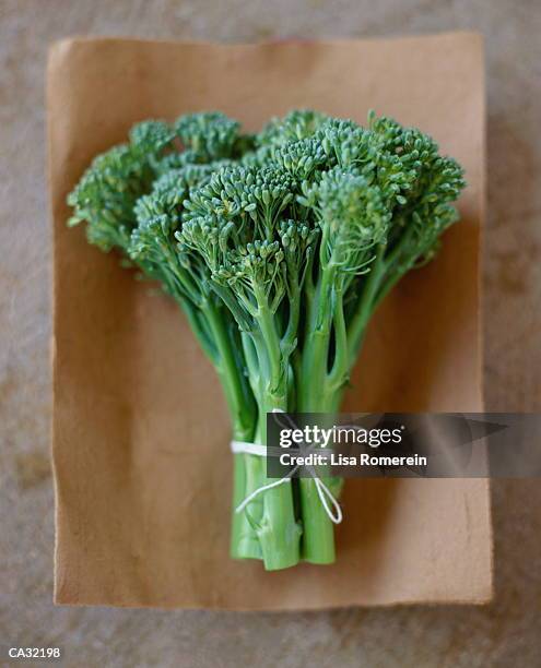 broccoli rabe (rapini) - broccoli rabe stock-fotos und bilder