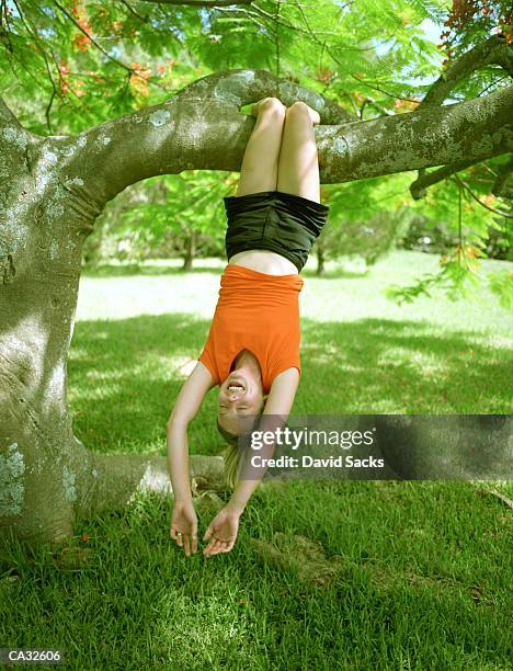 young woman hanging from tree by legs - atlantische eilanden stockfoto's en -beelden