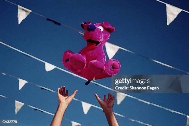 man tossing stuffed toy animal at amusement park, close-up - animal body part stock-fotos und bilder