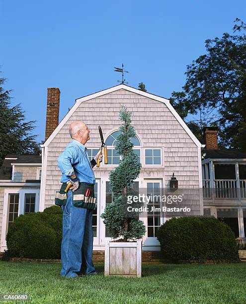 mature man standing next to shrub with pruning tool - topiary stock-fotos und bilder