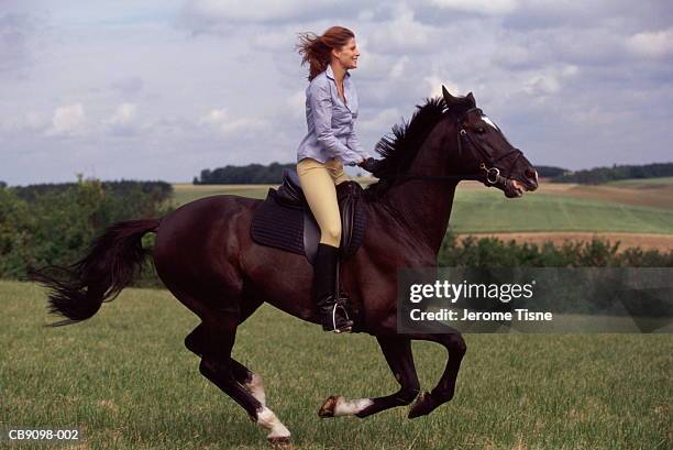 woman riding horse, galloping through countryside - montare un animale montare foto e immagini stock