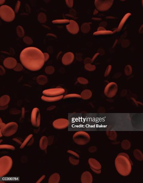 red blood cells - alta magnificação - fotografias e filmes do acervo