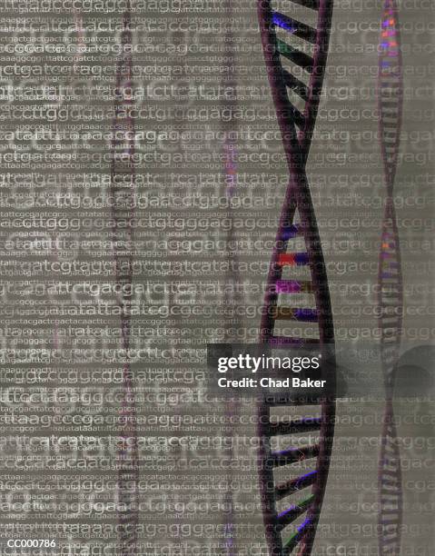 illustrazioni stock, clip art, cartoni animati e icone di tendenza di nucleotide sequences and a double helix - nucleotide