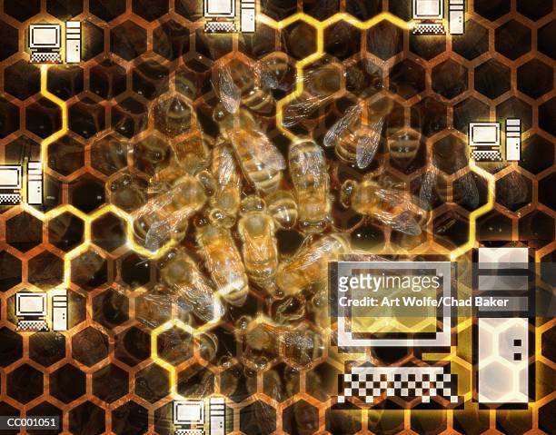 honeycomb and computers - art wolfe stock illustrations