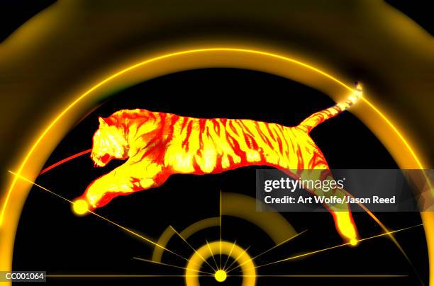 tiger jumping - art wolfe stock illustrations