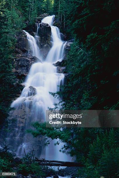 water falls at kay falls, british columbia, canada - british columbia 個照片及圖片檔