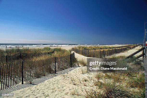 sandy pathway to beach - sandy macdonald stock pictures, royalty-free photos & images