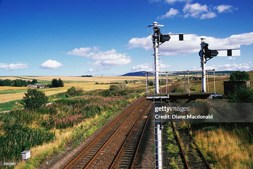 Tracks running through countryside