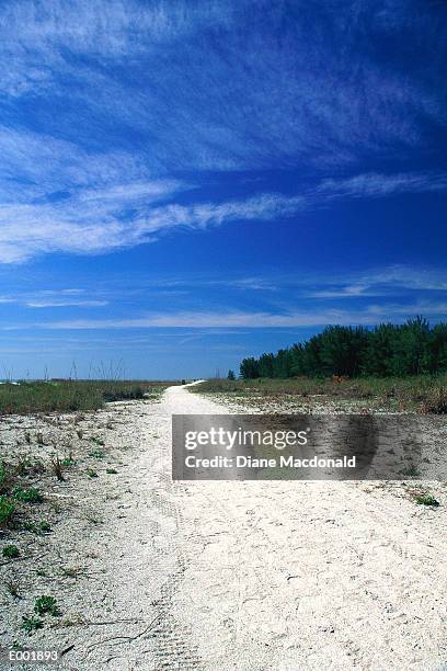 sandy path going off into distance - sandy macdonald stock pictures, royalty-free photos & images