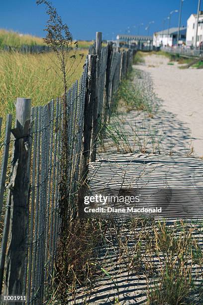 wooden and wire fence along sandy path - sandy macdonald stock pictures, royalty-free photos & images