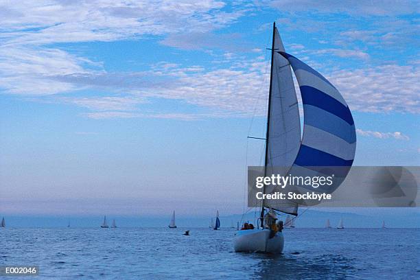 sailboats - spinnaker stock pictures, royalty-free photos & images