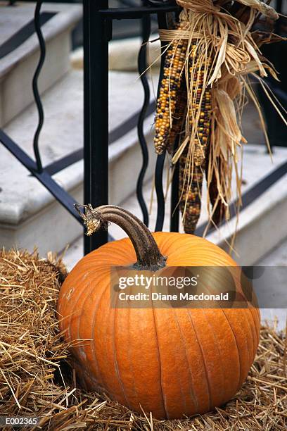 pumpkin and indian corn on porch - indian corn stock-fotos und bilder