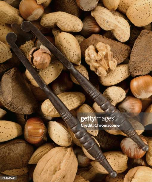 Shell Crakers 111 Shell Cracker Stock Photos, High-Res Pictures, and Images - Getty ...