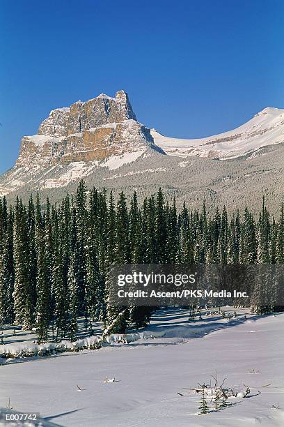 castle mountain and bow river, banff - bow valley fotografías e imágenes de stock