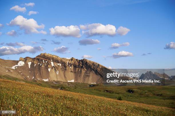 meadow with distant mountains - distant imagens e fotografias de stock