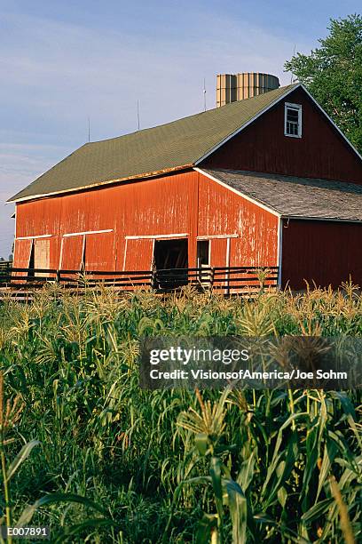 red barn with corn field in front - red barn corn field stock pictures, royalty-free photos & images
