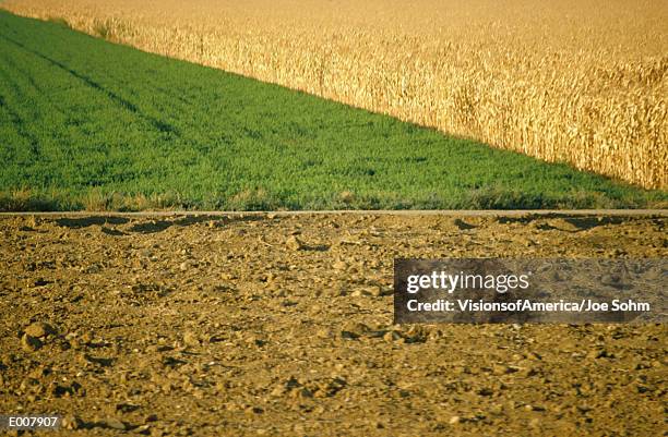 usa, california, san joaquin valley, farmland - san joaquin valley stockfoto's en -beelden