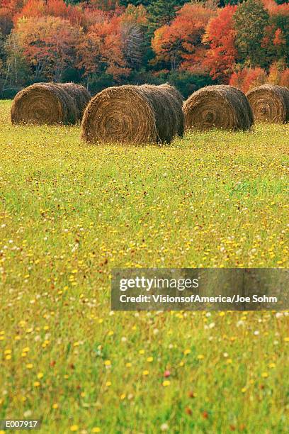 rolled hay bale with field beyond - hay fotografías e imágenes de stock