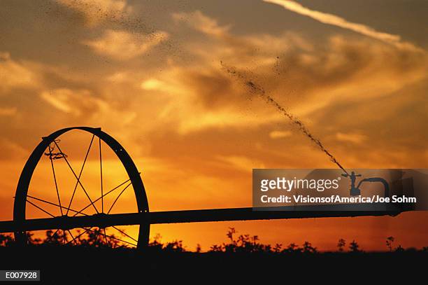 usa, california, san joaquin valley, agricultural sprinkler at sunset - san joaquin valley stockfoto's en -beelden