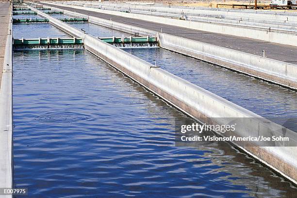 replenishing tank at fish hatchery - fish hatchery stock pictures, royalty-free photos & images