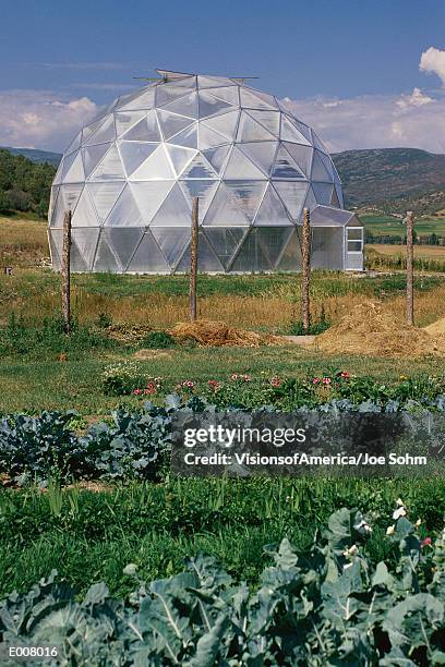 biodome in aspen, colorado - pitkin county stock pictures, royalty-free photos & images