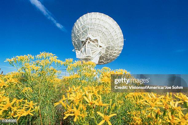 array/satellite dish in field of flowers - satellite dish stock-fotos und bilder