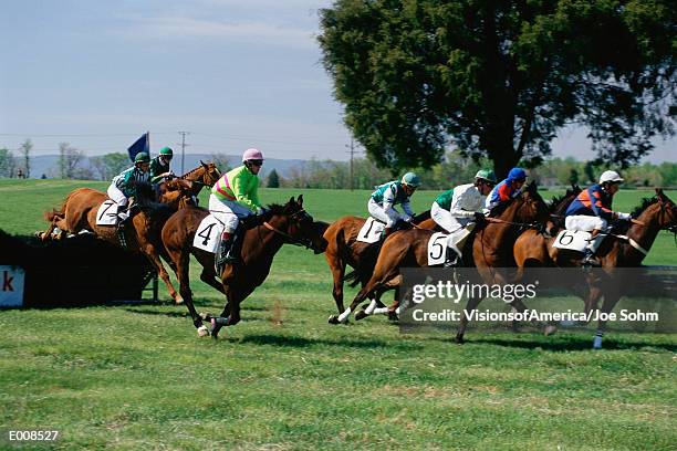 polo match - riding sports stock pictures, royalty-free photos & images