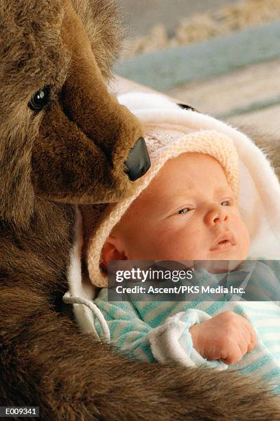 baby being watched over by stuffed bear - being watched stockfoto's en -beelden