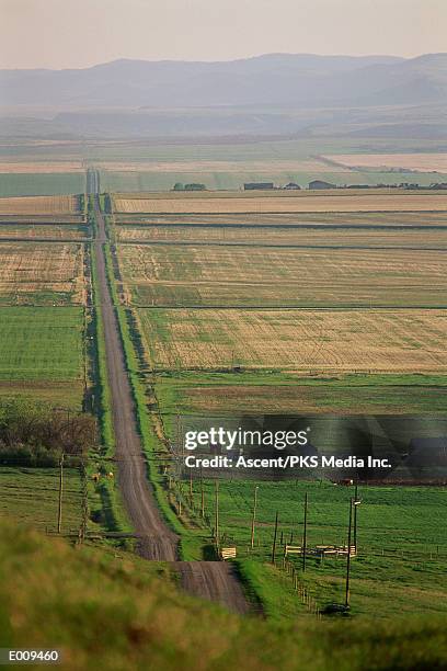 long dirt road among farmland - paysage agricole photos et images de collection