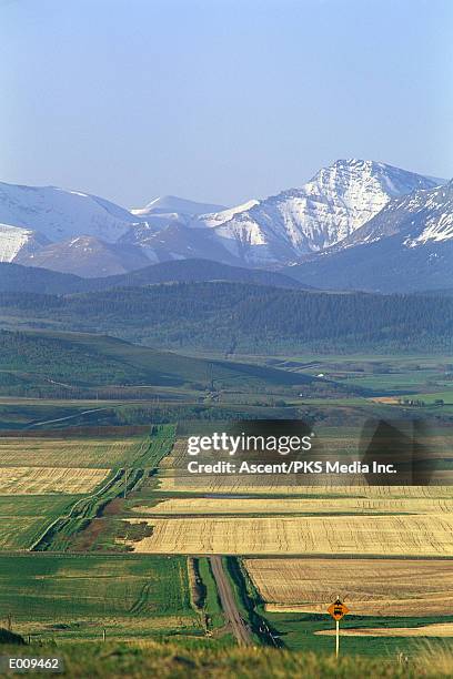 road among farmland with snowy mountains in background - patchwork landscape stock pictures, royalty-free photos & images