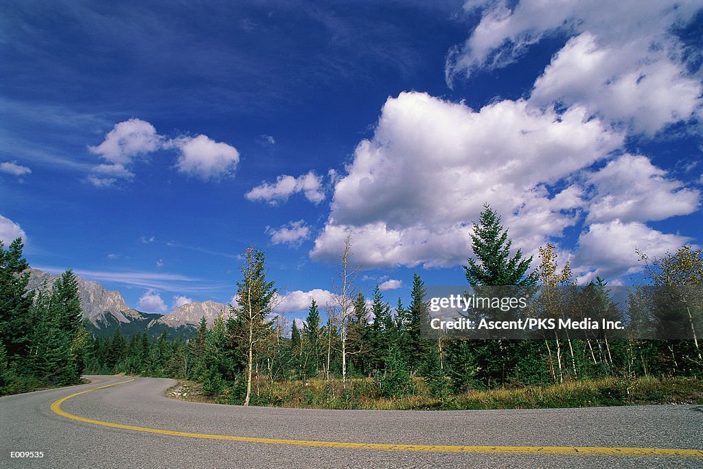 Forest highway with clouds and mountain in background