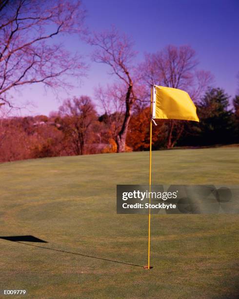 flag on golf course waving in wind - waving-sports-flag stock pictures, royalty-free photos & images