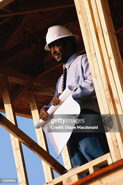 foreman rolling up blue prints, looking out of building - foreman stock pictures, royalty-free photos & images