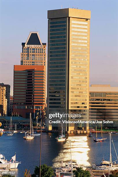 inner harbor & trade center building, baltimore, md - trade center building stock pictures, royalty-free photos & images