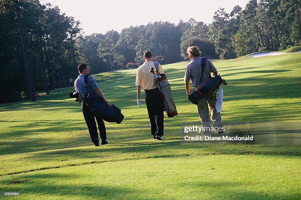 Rear view of golfers walking through green